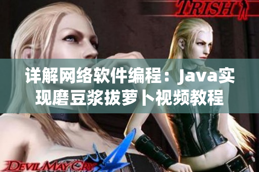 详解网络软件编程：Java实现磨豆浆拔萝卜视频教程