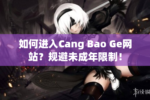 如何进入Cang Bao Ge网站？规避未成年限制！