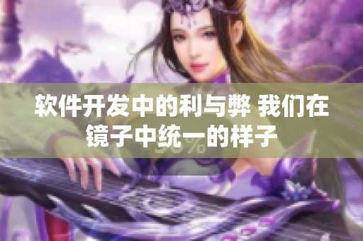 软件开发中的利与弊 我们在镜子中统一的样子