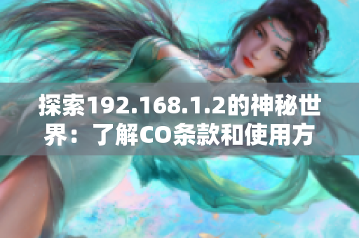 探索192.168.1.2的神秘世界：了解CO条款和使用方法