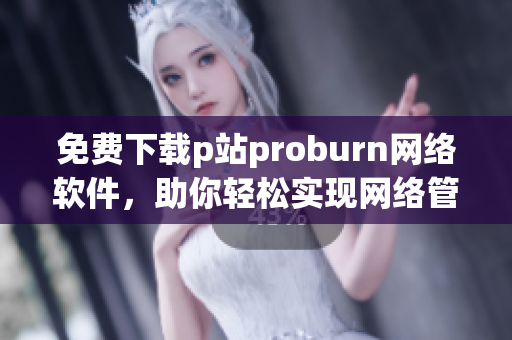 免费下载p站proburn网络软件，助你轻松实现网络管理