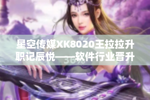 星空传媒XK8020王拉拉升职记辰悦——软件行业晋升故事