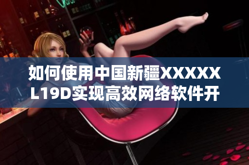 如何使用中国新疆XXXXXL19D实现高效网络软件开发