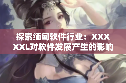 探索缅甸软件行业：XXXXXL对软件发展产生的影响