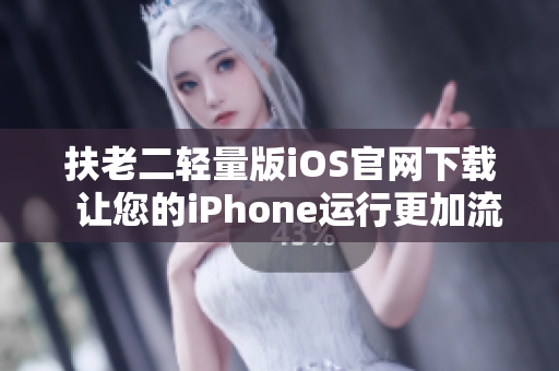 扶老二轻量版iOS官网下载  让您的iPhone运行更加流畅