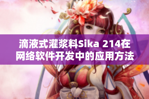 滴液式灌浆料Sika 214在网络软件开发中的应用方法详解