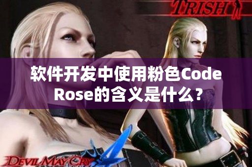 软件开发中使用粉色Code Rose的含义是什么？