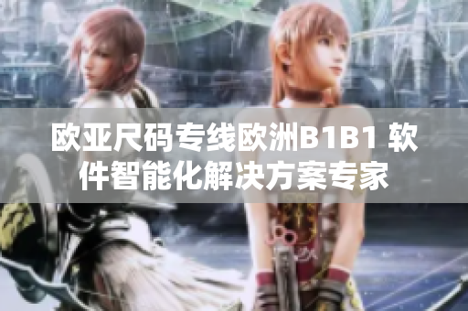 欧亚尺码专线欧洲B1B1 软件智能化解决方案专家