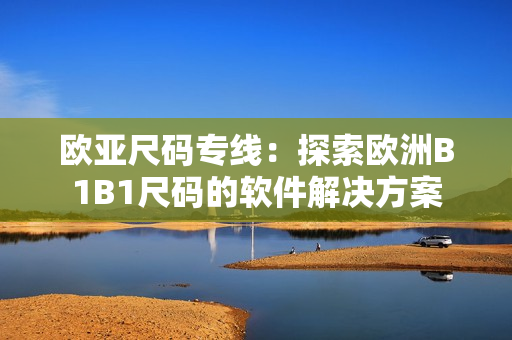 欧亚尺码专线：探索欧洲B1B1尺码的软件解决方案