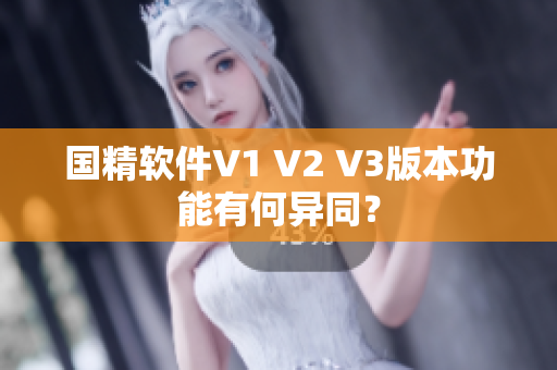 国精软件V1 V2 V3版本功能有何异同？