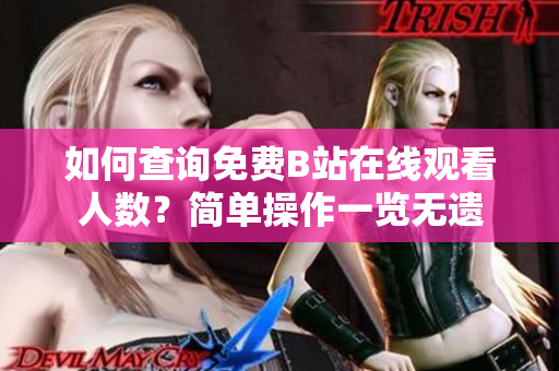 如何查询免费B站在线观看人数？简单操作一览无遗