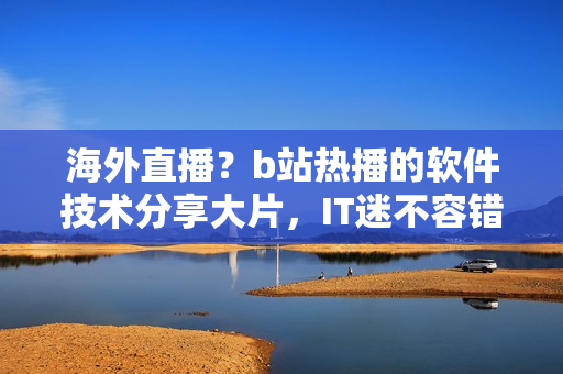 海外直播？b站热播的软件技术分享大片，IT迷不容错过