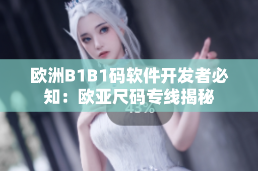 欧洲B1B1码软件开发者必知：欧亚尺码专线揭秘