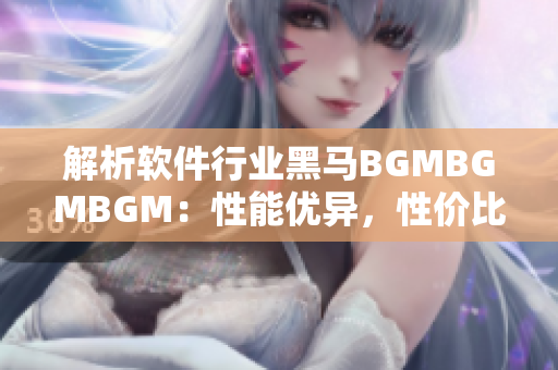 解析软件行业黑马BGMBGMBGM：性能优异，性价比超高！