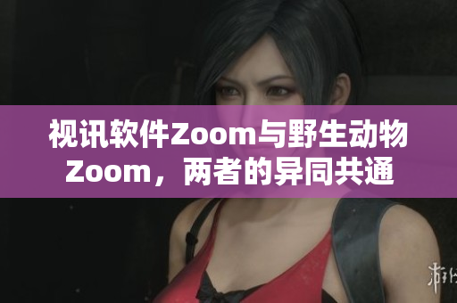 视讯软件Zoom与野生动物Zoom，两者的异同共通