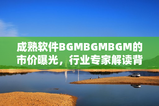 成熟软件BGMBGMBGM的市价曝光，行业专家解读背后热议