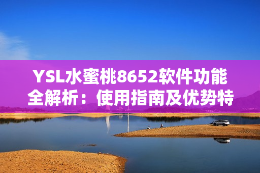 YSL水蜜桃8652软件功能全解析：使用指南及优势特点