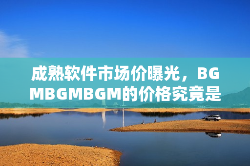 成熟软件市场价曝光，BGMBGMBGM的价格究竟是多少？