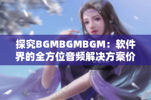 探究BGMBGMBGM：软件界的全方位音频解决方案价格解析