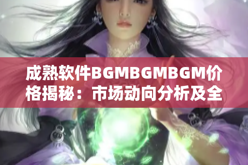 成熟软件BGMBGMBGM价格揭秘：市场动向分析及全面解读