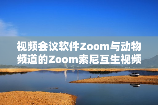 视频会议软件Zoom与动物频道的Zoom索尼互生视频走近做什么。