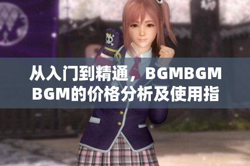 从入门到精通，BGMBGMBGM的价格分析及使用指南