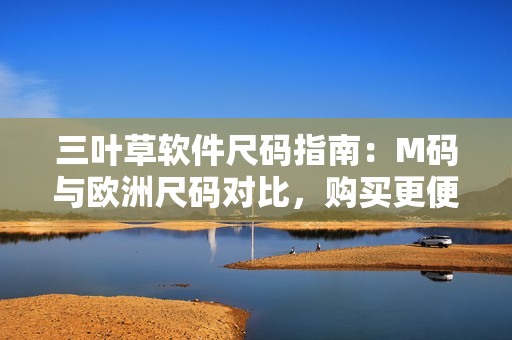 三叶草软件尺码指南：M码与欧洲尺码对比，购买更便捷