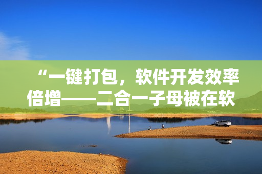 “一键打包，软件开发效率倍增——二合一子母被在软件开发中的应用优势”