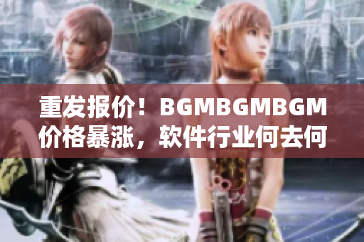 重发报价！BGMBGMBGM价格暴涨，软件行业何去何从？