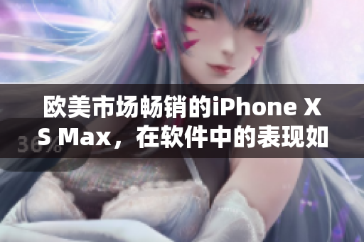 欧美市场畅销的iPhone XS Max，在软件中的表现如何