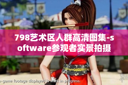 798艺术区人群高清图集-software参观者实景拍摄