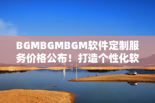 BGMBGMBGM软件定制服务价格公布！打造个性化软件从此不再昂贵！