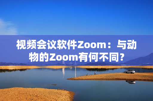 视频会议软件Zoom：与动物的Zoom有何不同？