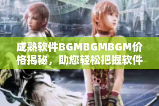 成熟软件BGMBGMBGM价格揭秘，助您轻松把握软件开发成本