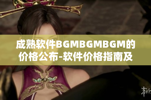 成熟软件BGMBGMBGM的价格公布-软件价格指南及市场行情