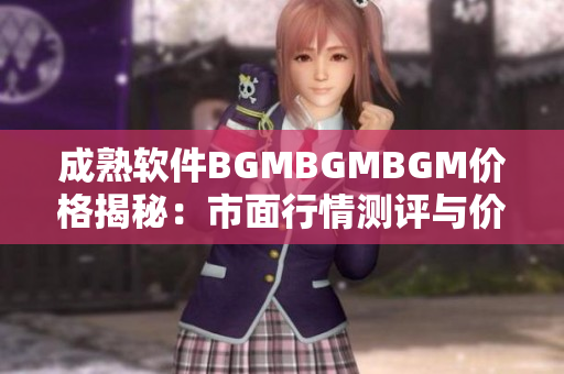 成熟软件BGMBGMBGM价格揭秘：市面行情测评与价值分析