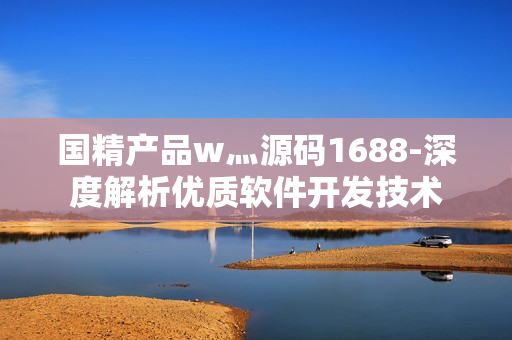 国精产品w灬源码1688-深度解析优质软件开发技术