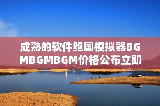 成熟的软件鲍国模拟器BGMBGMBGM价格公布立即了解最新报价