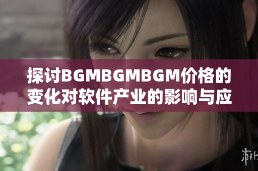 探讨BGMBGMBGM价格的变化对软件产业的影响与应对策略