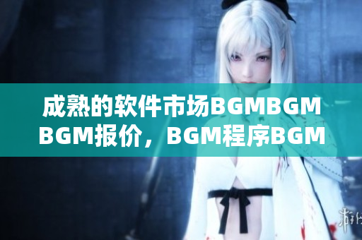 成熟的软件市场BGMBGMBGM报价，BGM程序BGM定制服务价格详解