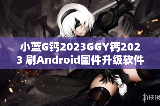 小蓝G钙2023GGY钙2023 刷Android固件升级软件指南