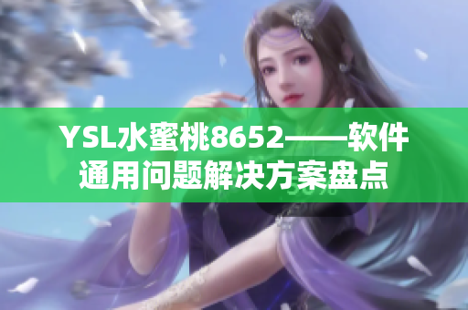 YSL水蜜桃8652——软件通用问题解决方案盘点