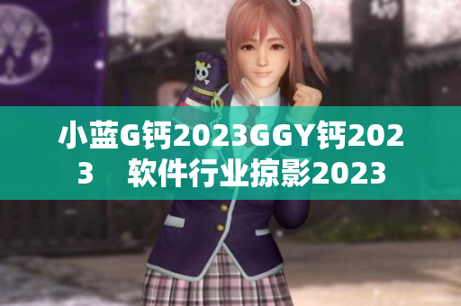 小蓝G钙2023GGY钙2023    软件行业掠影2023