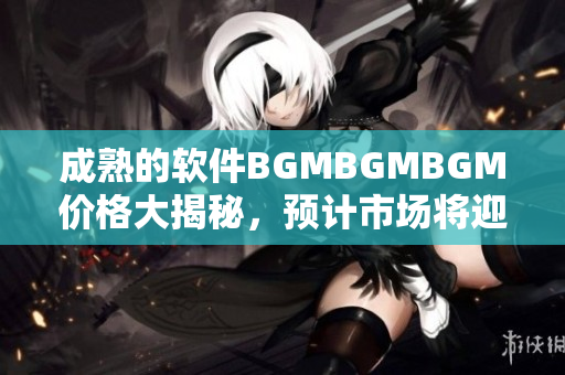 成熟的软件BGMBGMBGM价格大揭秘，预计市场将迎来巨变