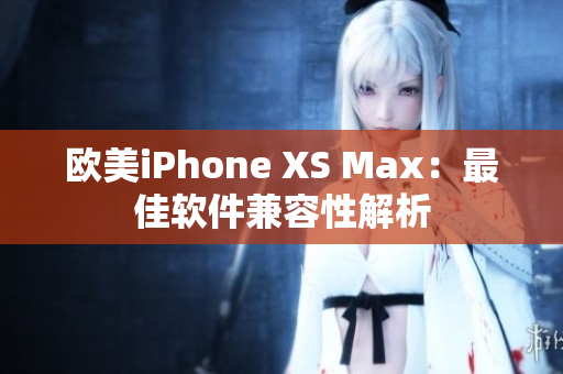 欧美iPhone XS Max：最佳软件兼容性解析