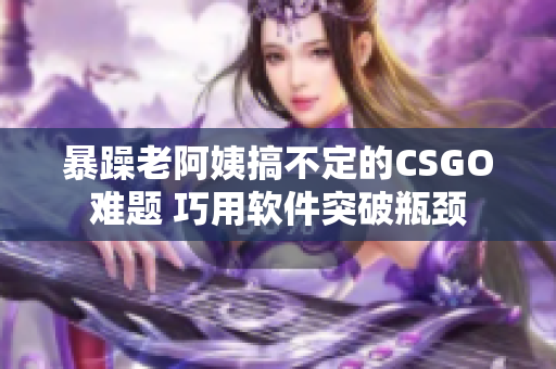 暴躁老阿姨搞不定的CSGO难题 巧用软件突破瓶颈