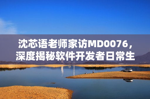 沈芯语老师家访MD0076，深度揭秘软件开发者日常生活