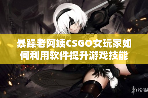 暴躁老阿姨CSGO女玩家如何利用软件提升游戏技能