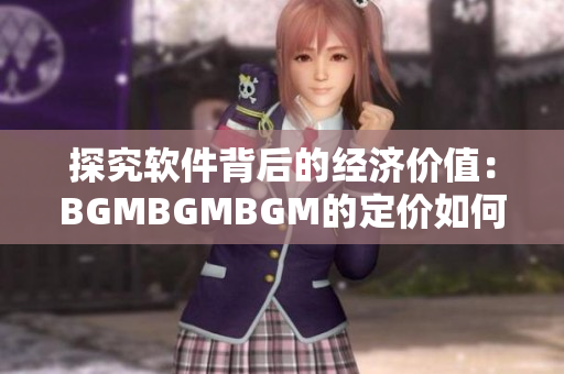 探究软件背后的经济价值：BGMBGMBGM的定价如何决定？