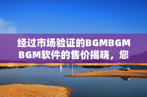 经过市场验证的BGMBGMBGM软件的售价揭晓，您值得拥有